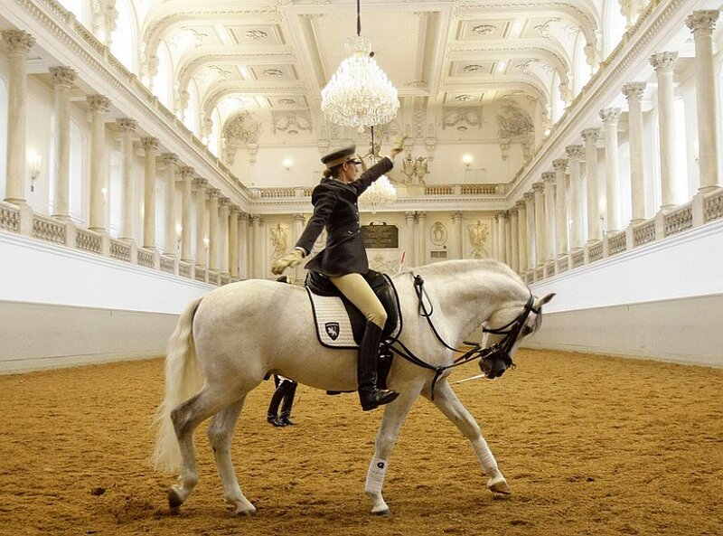 Equestrian dressage performance