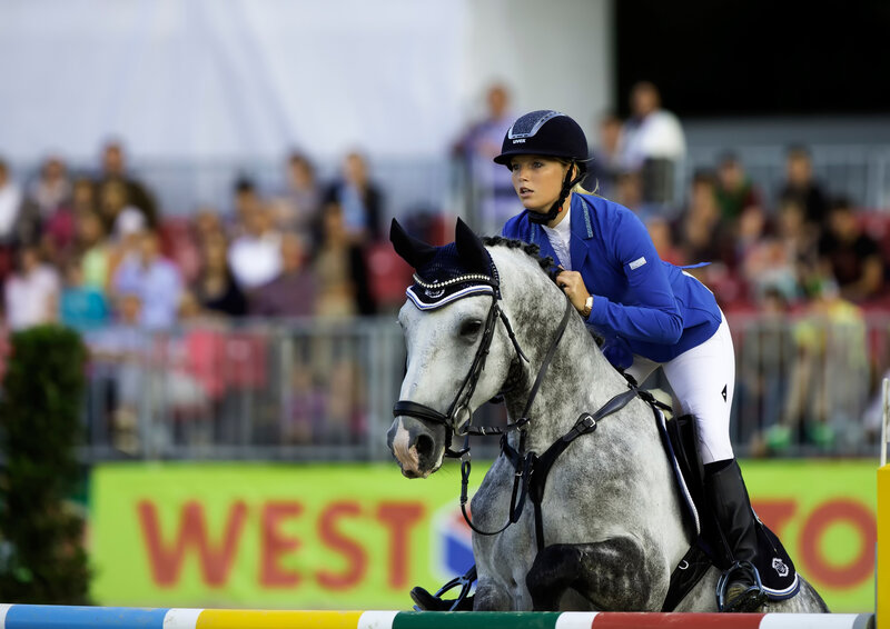Equestrian jumping competition