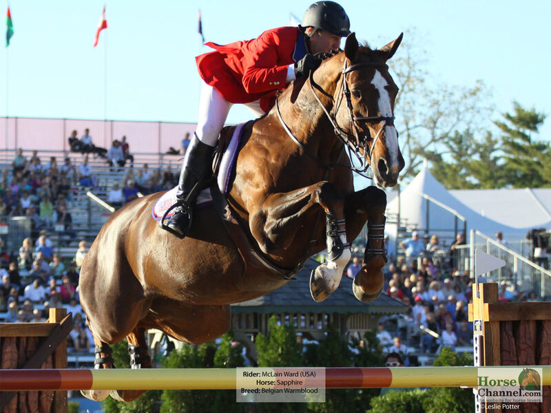 Equestrian Jumping Horse — Brown