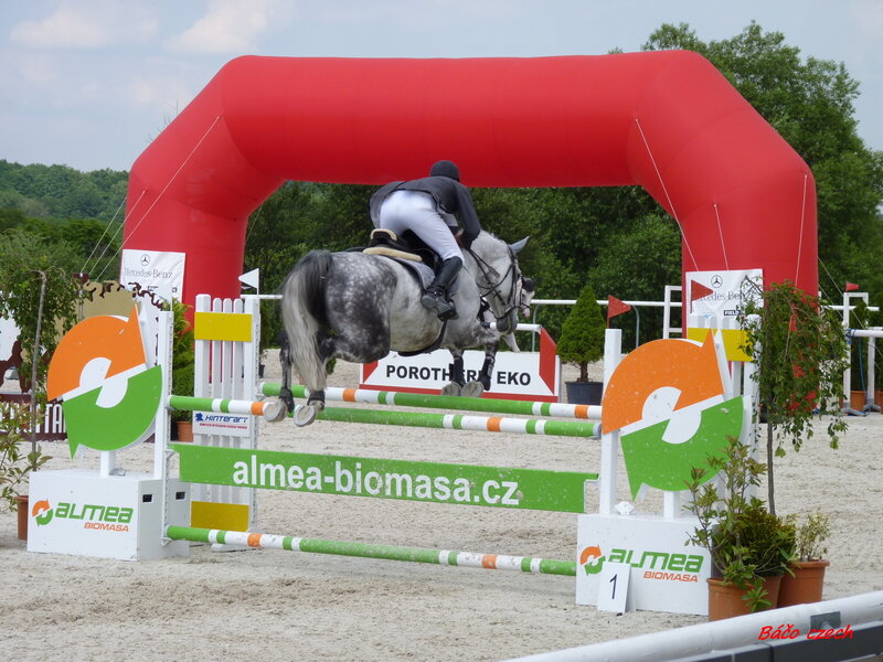 Equestrian Jumping Horse
