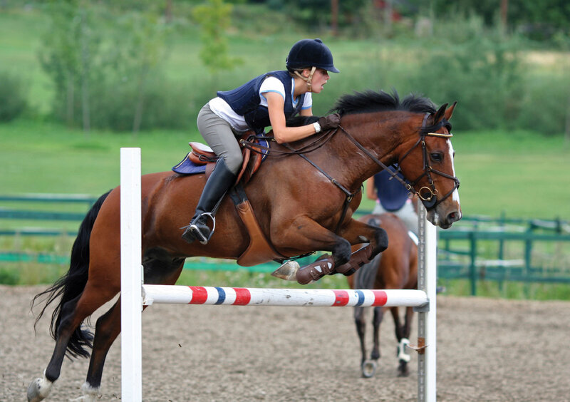 Equestrian jumping over hurdle