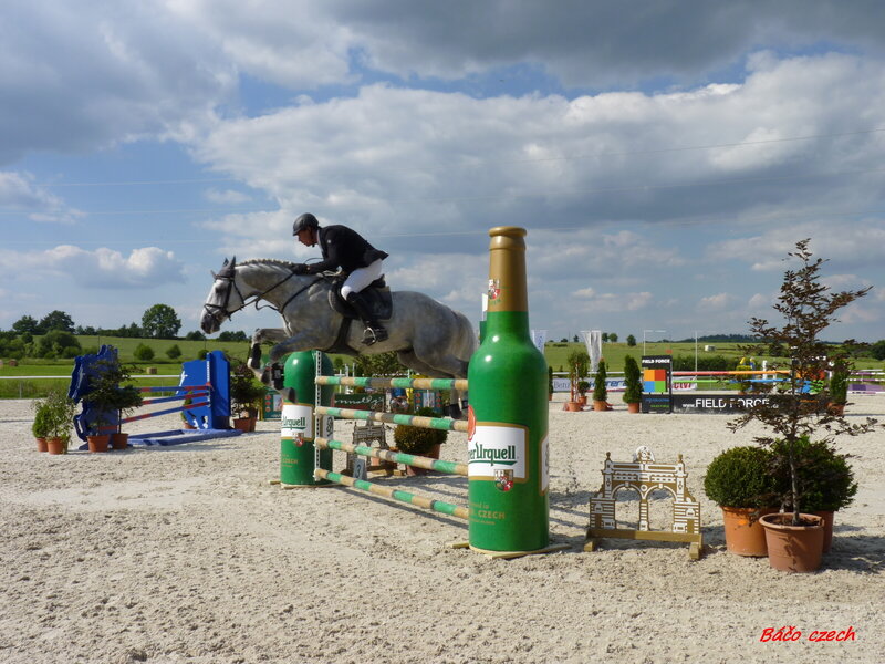 Equestrian Jumping