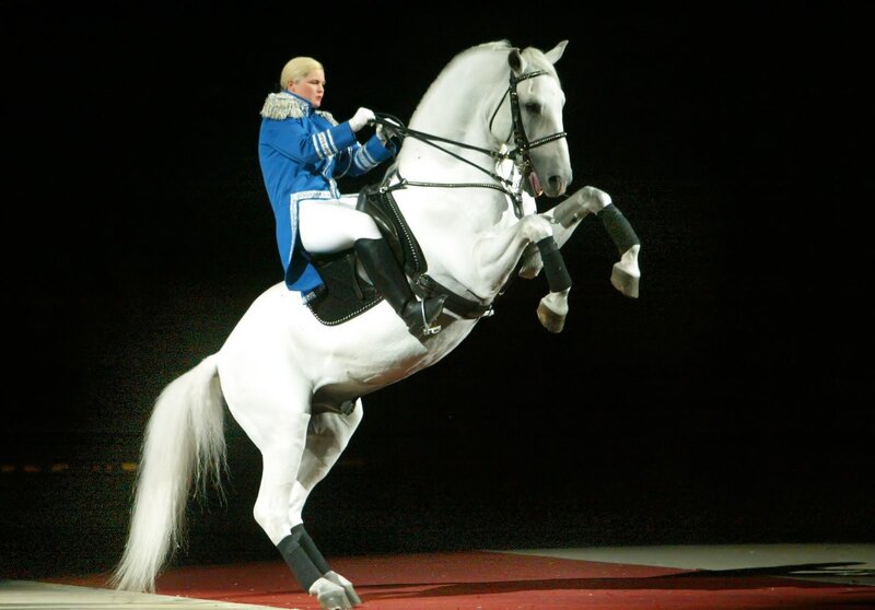Equestrian performance with white horse