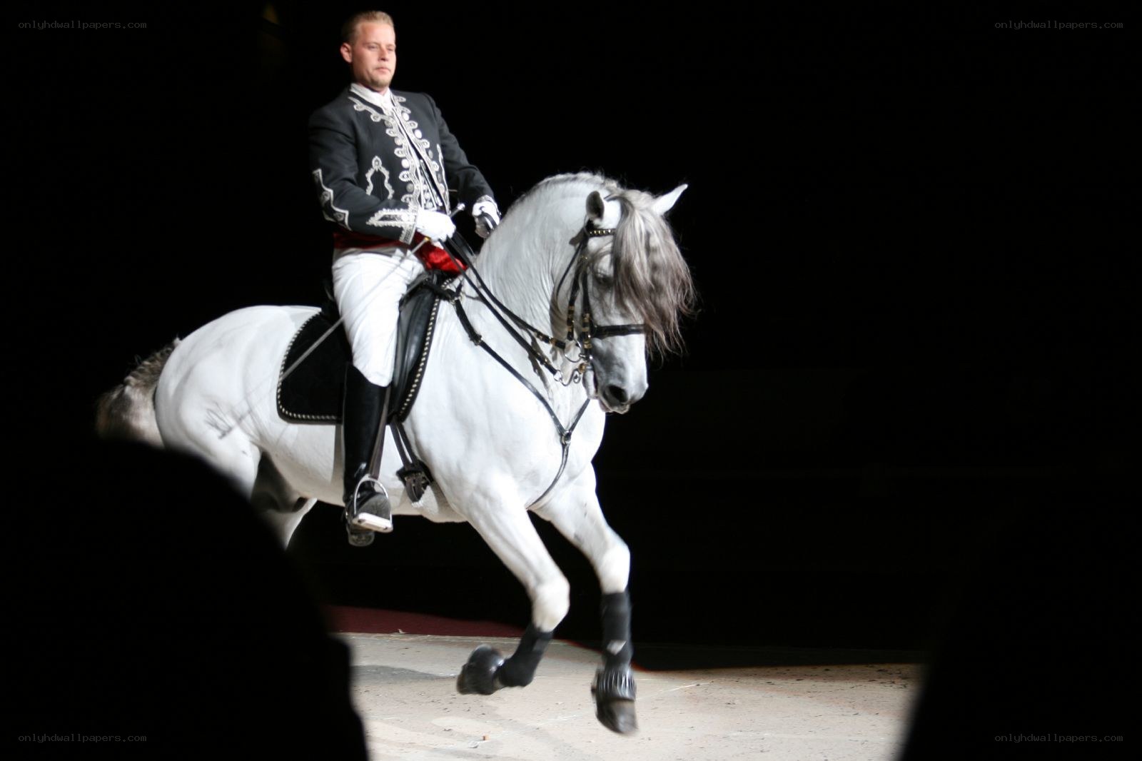 Equestrian performance with white horse