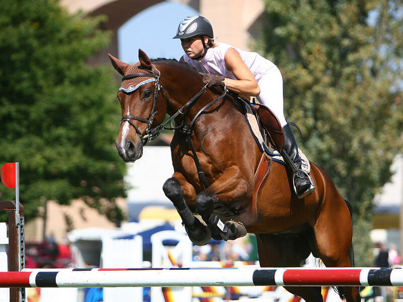 Equestrian Rider Jumping — Brown, Focused