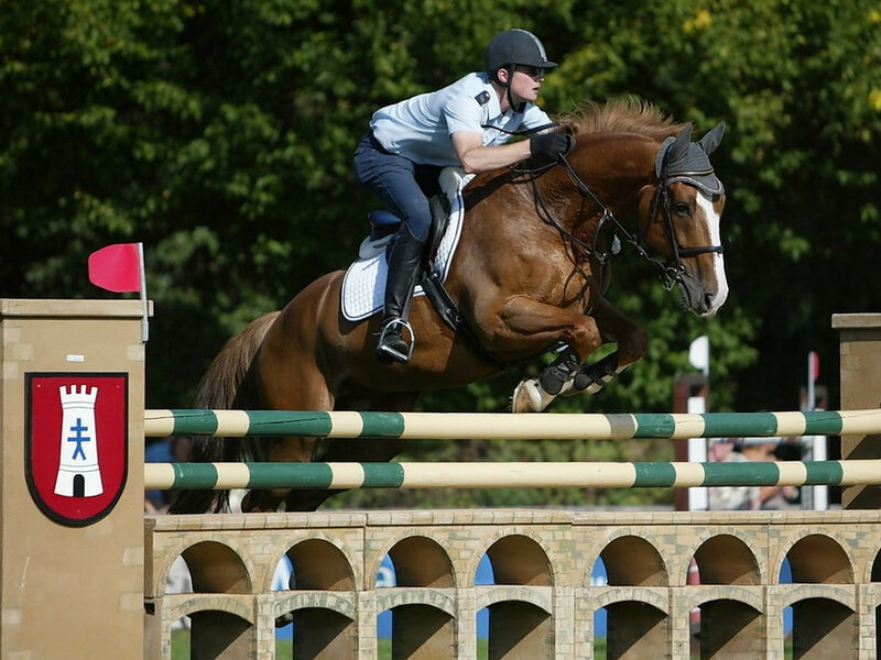 Equestrian Rider Jumping — Brown