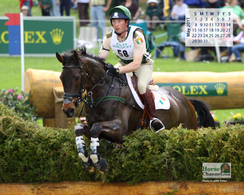 Equestrian Rider Jumping