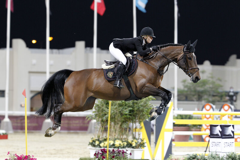 Equestrian Rider on Horse — Brown, Focused, Night