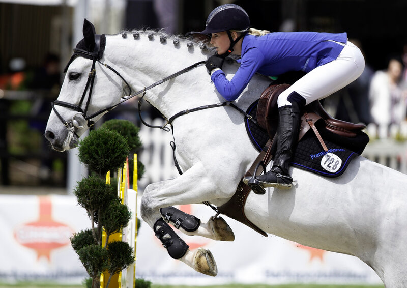 Equestrian Rider on Horse — White, Focused