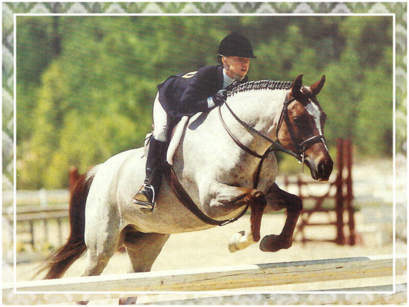 Equestrian Rider on Horse — White