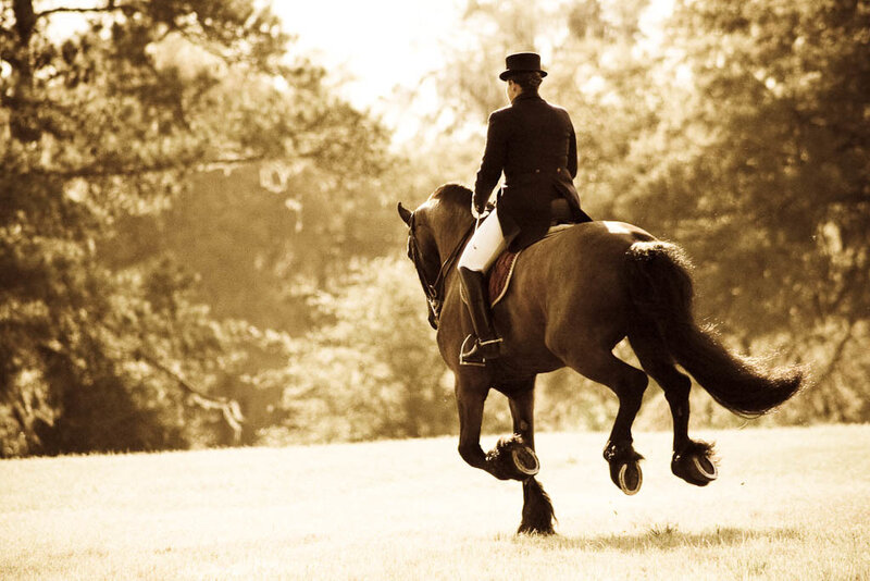 Equestrian rider on horseback