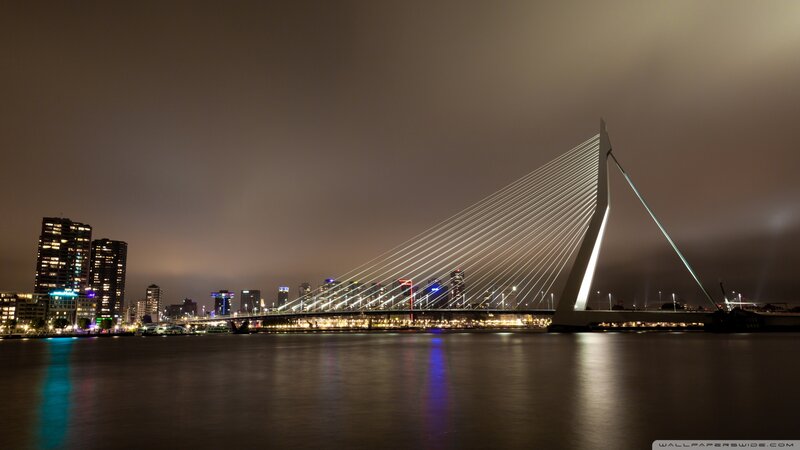 Erasmus Bridge at Night — Black, Serene