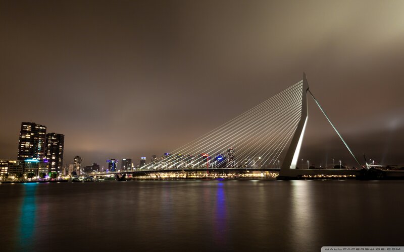 Erasmus Bridge at Night — Black