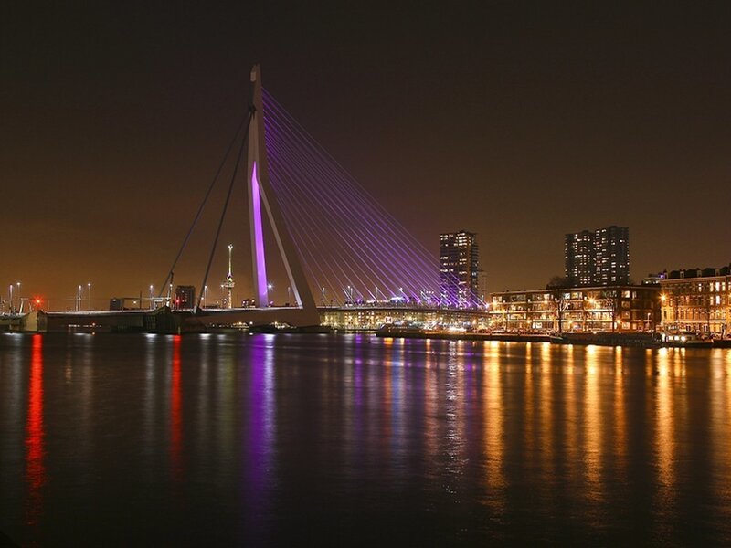Erasmus Bridge at Night — Purple