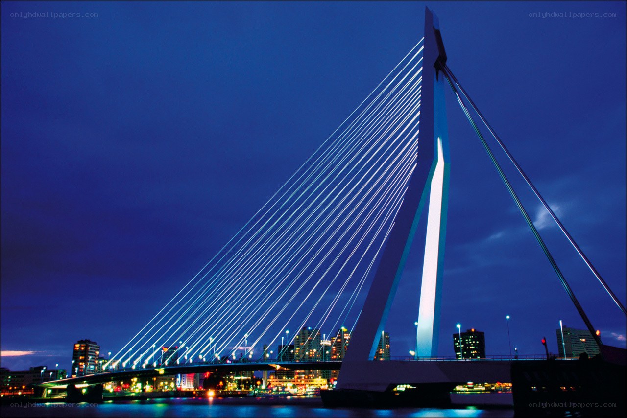 Erasmus Bridge at night