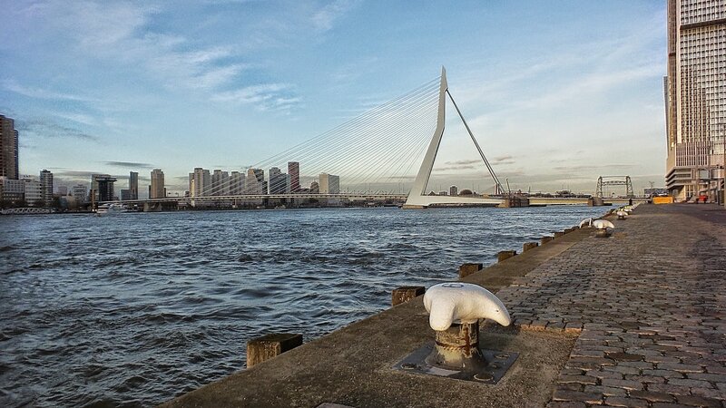 Erasmus Bridge in Rotterdam