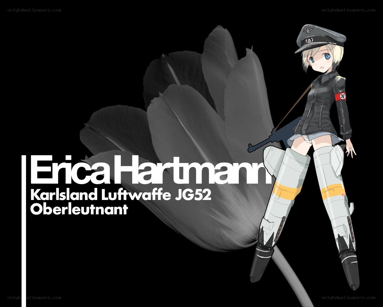 Erica Hartmann character art