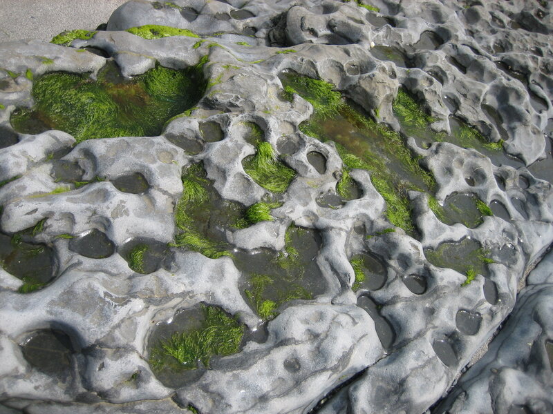 Eroded rock with green algae