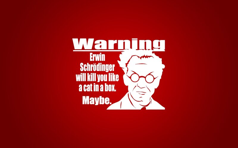 Erwin Schrödinger Portrait