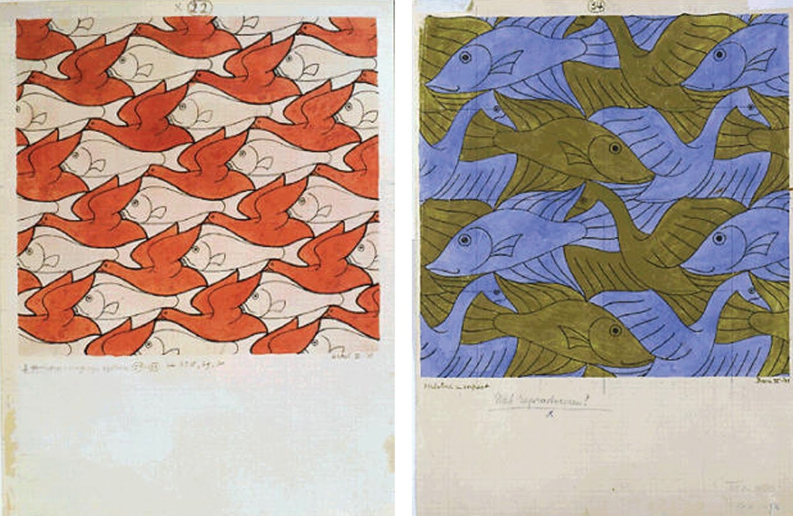 Escher's bird and fish tessellations