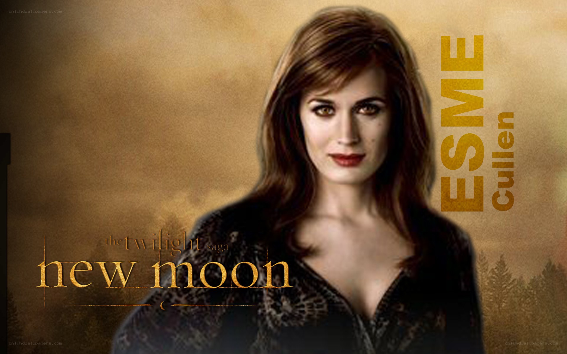 Esme Cullen from New Moon
