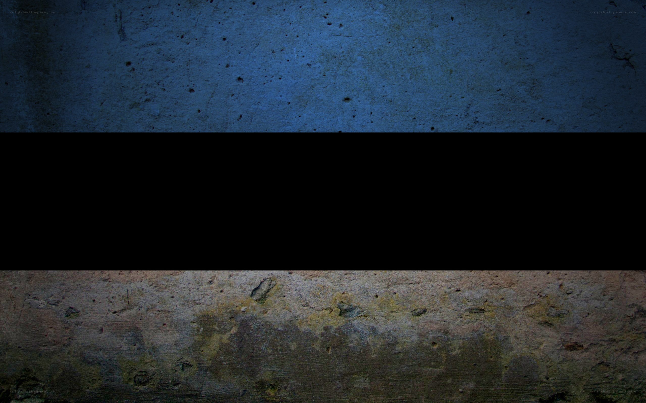 Estonian flag on textured wall