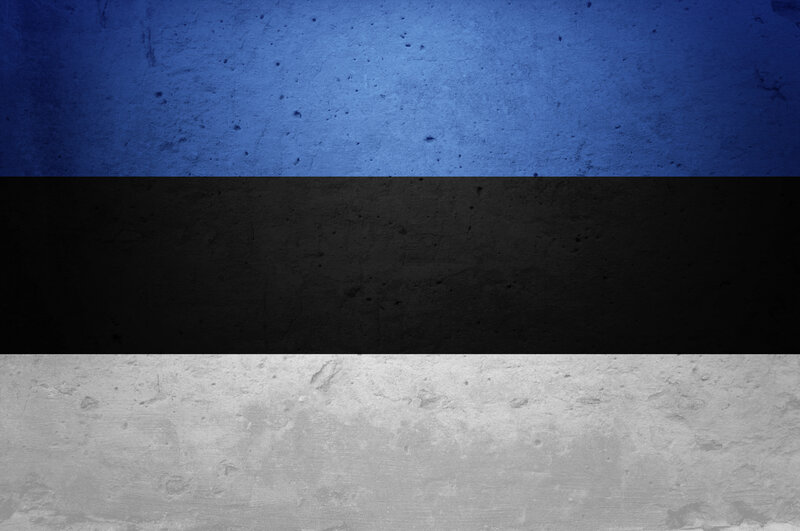 Estonian flag on textured wall
