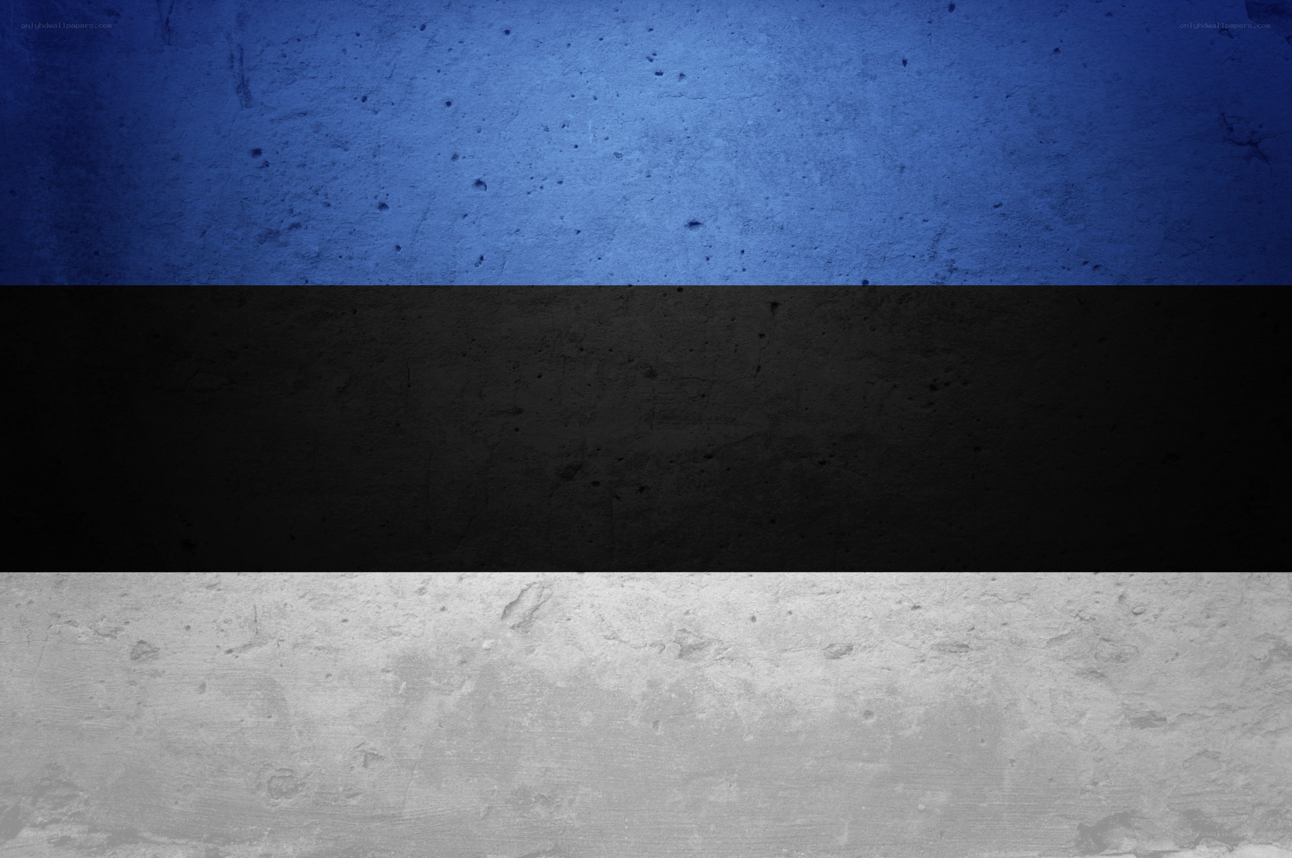 Estonian flag on textured wall