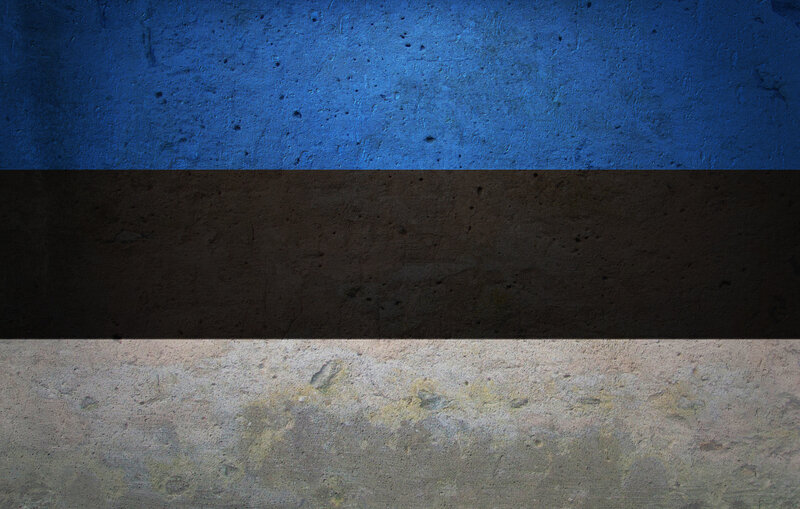 Estonian flag on textured wall