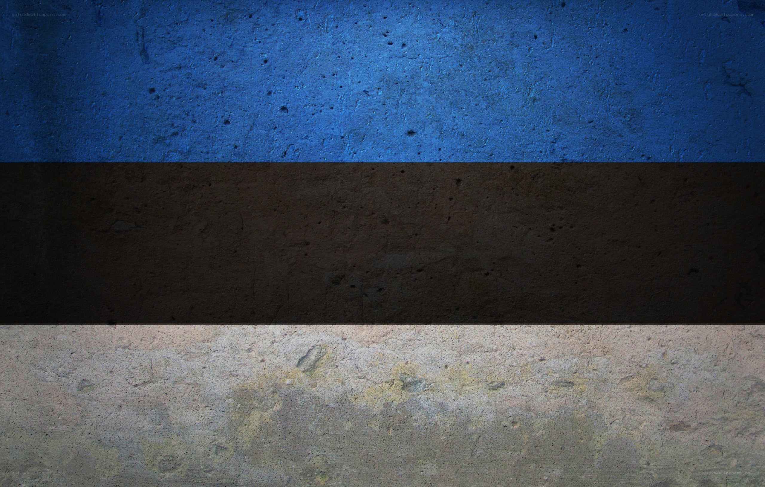 Estonian flag on textured wall
