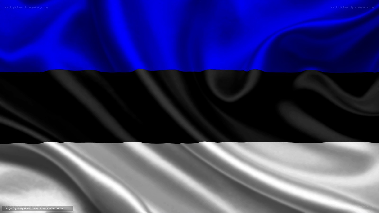 Estonian flag waving