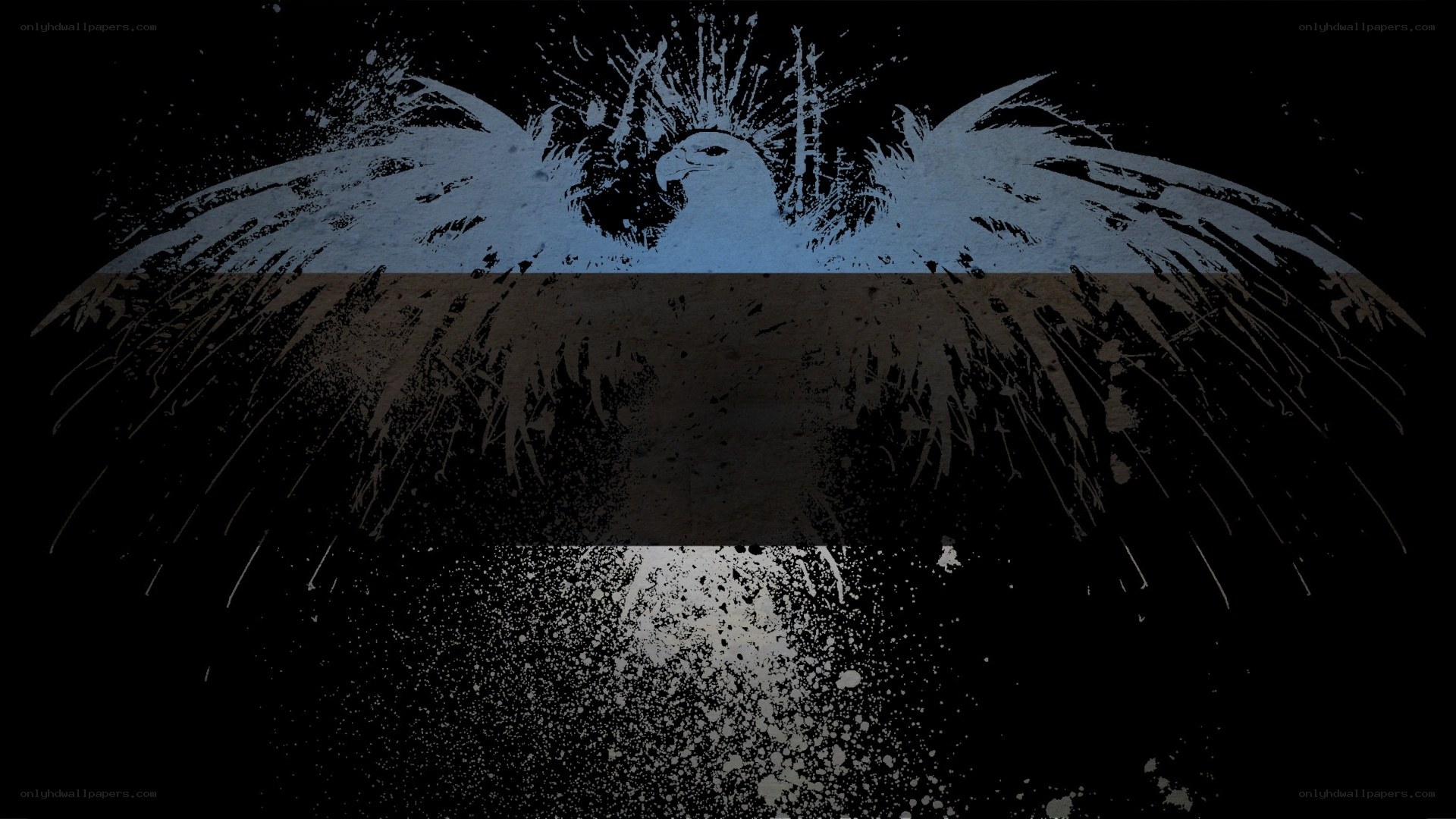 Estonian flag with eagle design