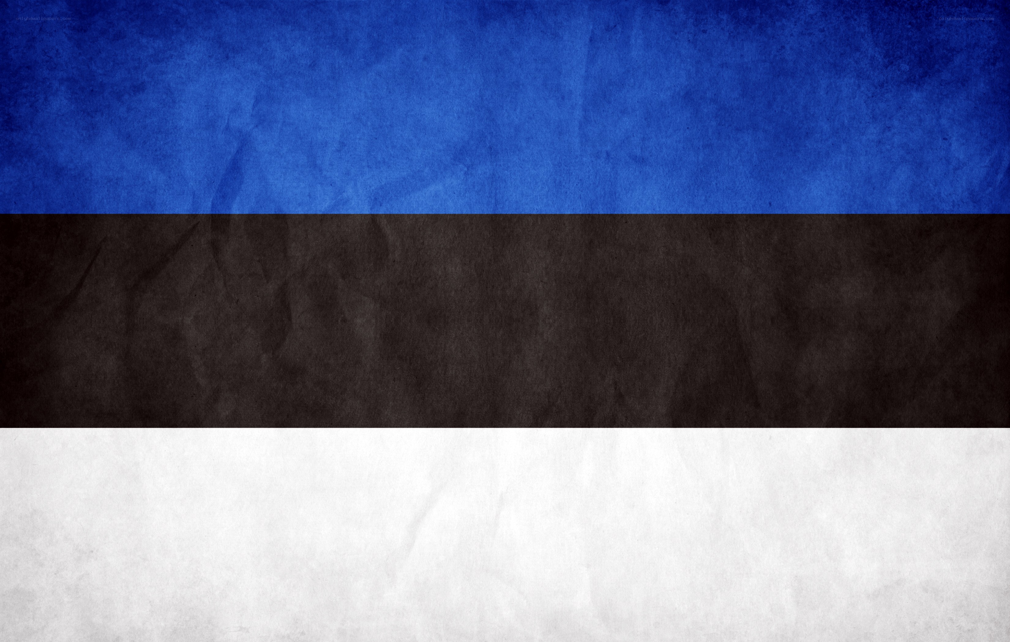 Estonian flag with texture
