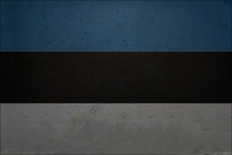 Estonian flag with texture