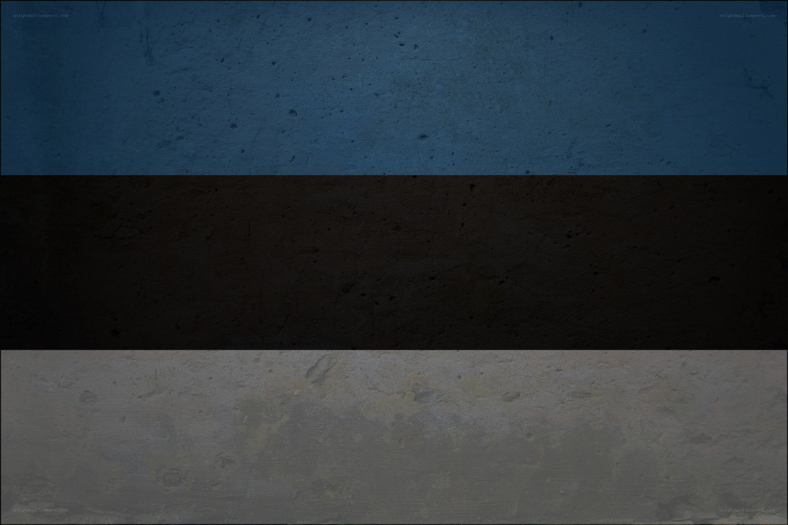 Estonian flag with texture