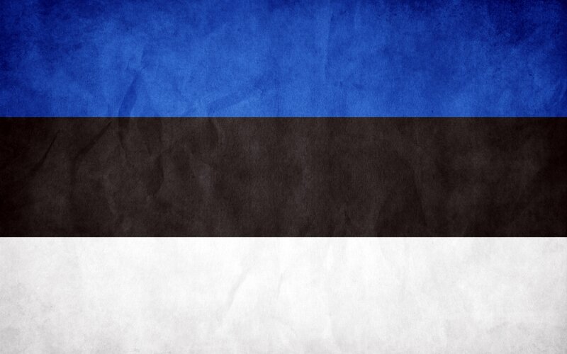 Estonian flag with texture