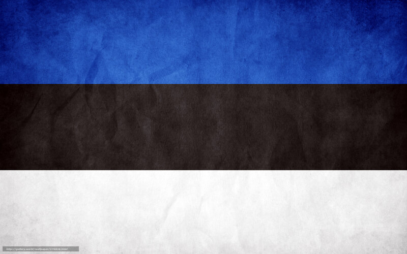 Estonian flag with textured background