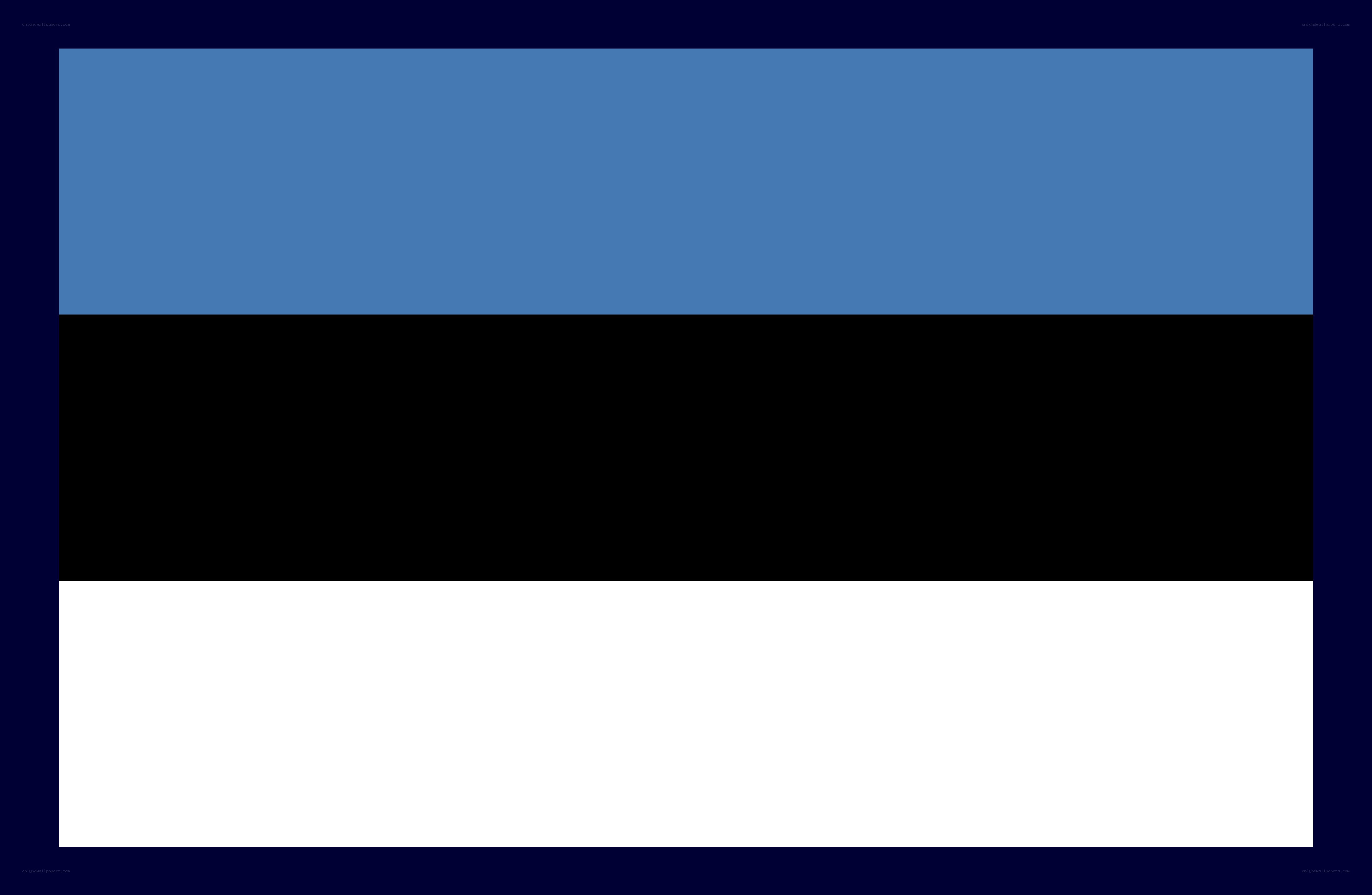 Estonian flag