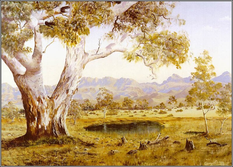 Eucalyptus Tree in Field — Yellow