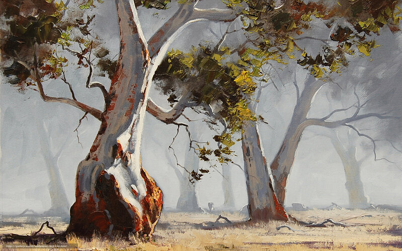 Eucalyptus Trees in Fog — Gray