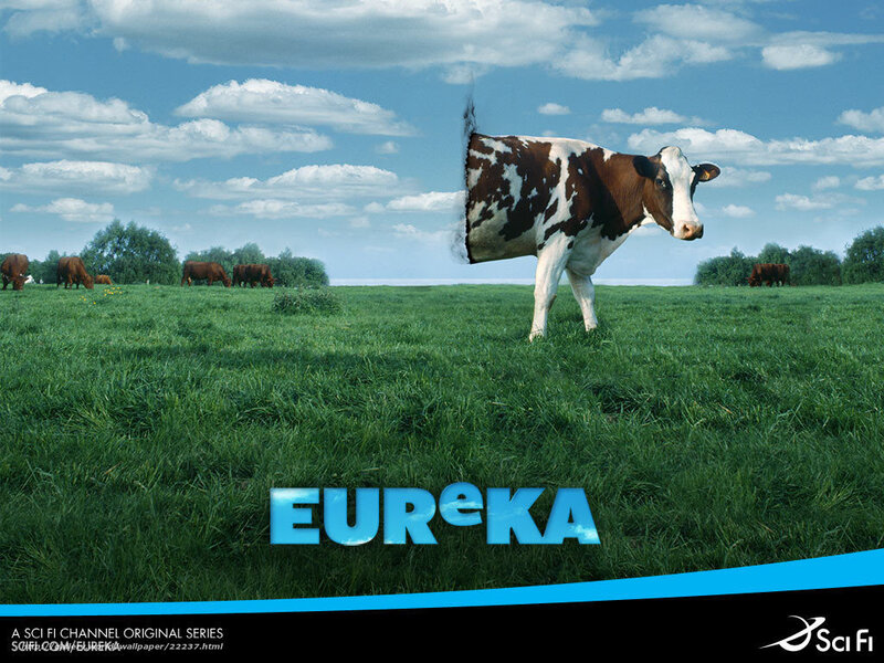 Eureka cow in field