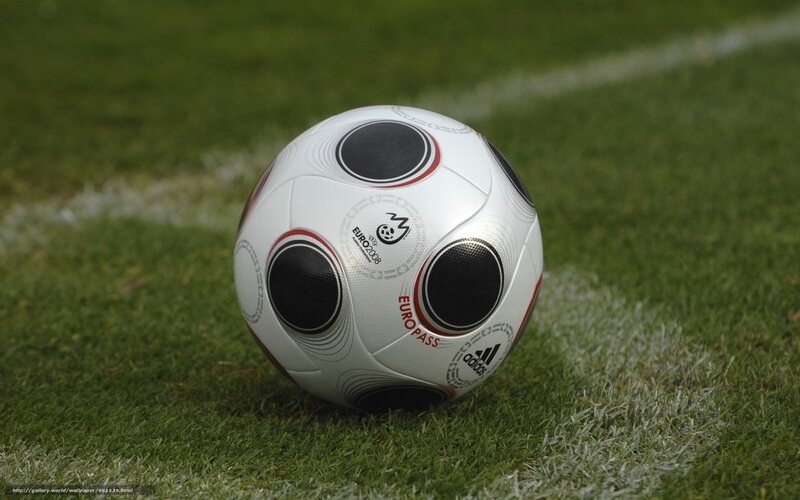 Euro 2008 football on grass