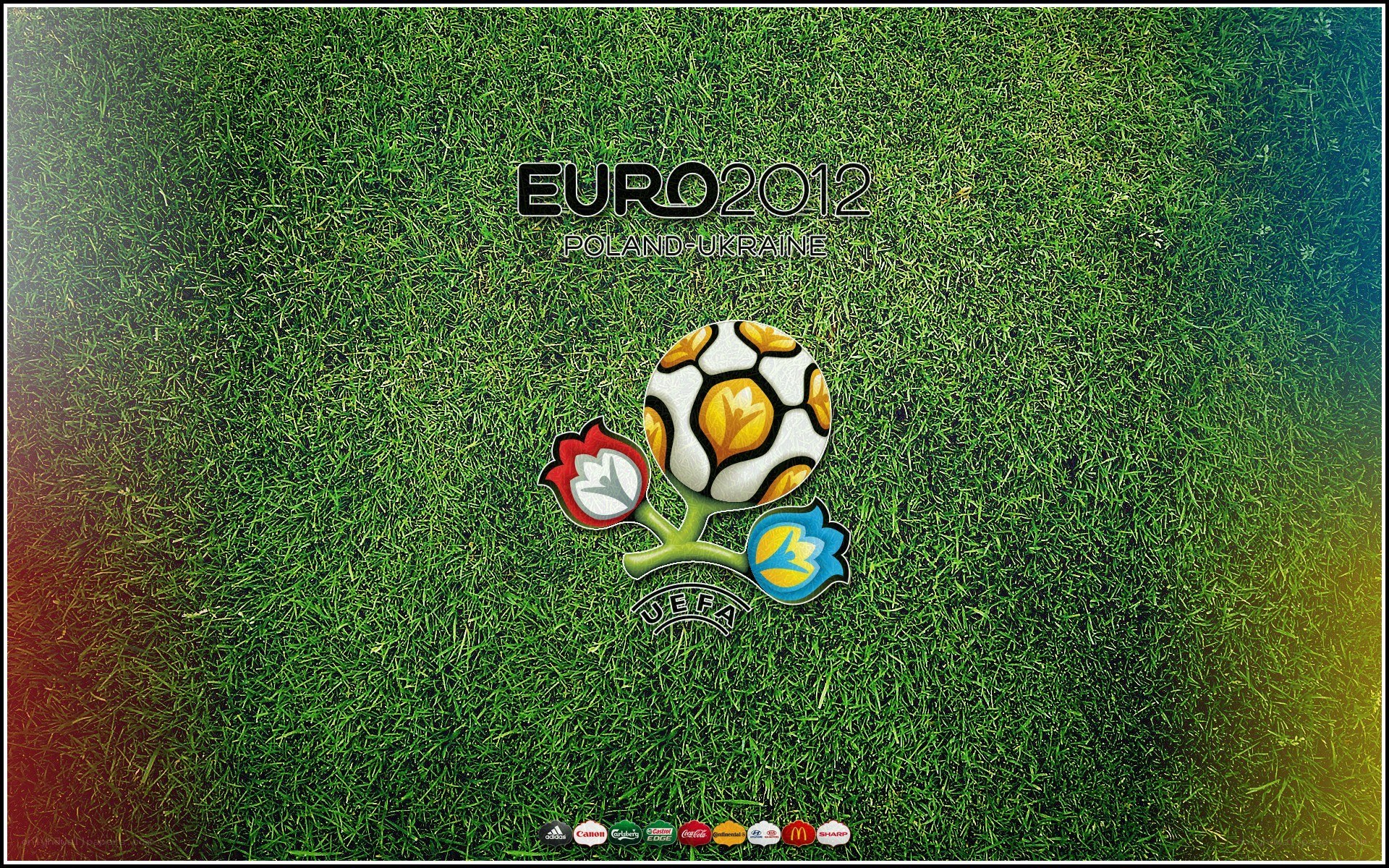 Euro 2012 logo on grass