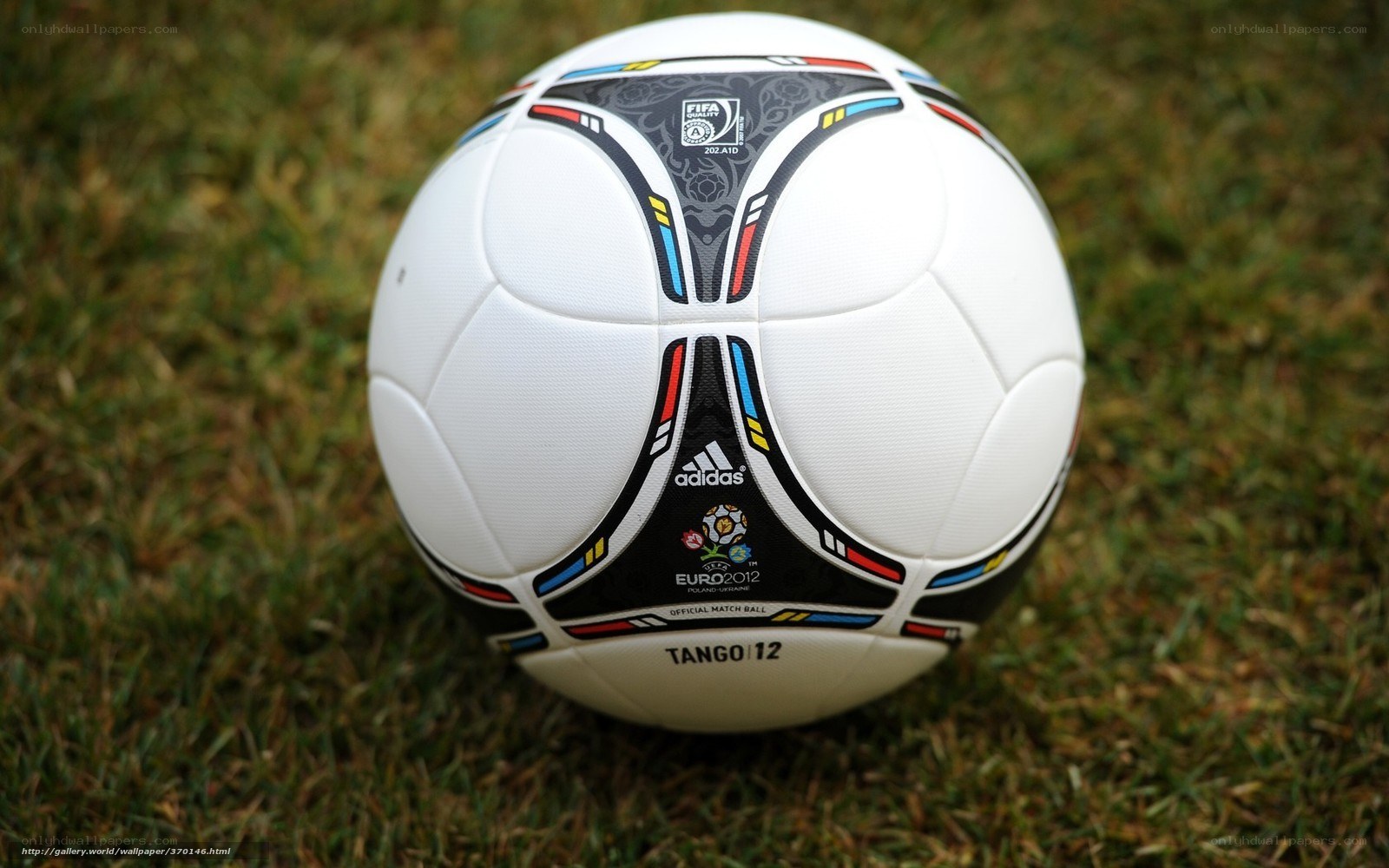 Euro 2012 match ball
