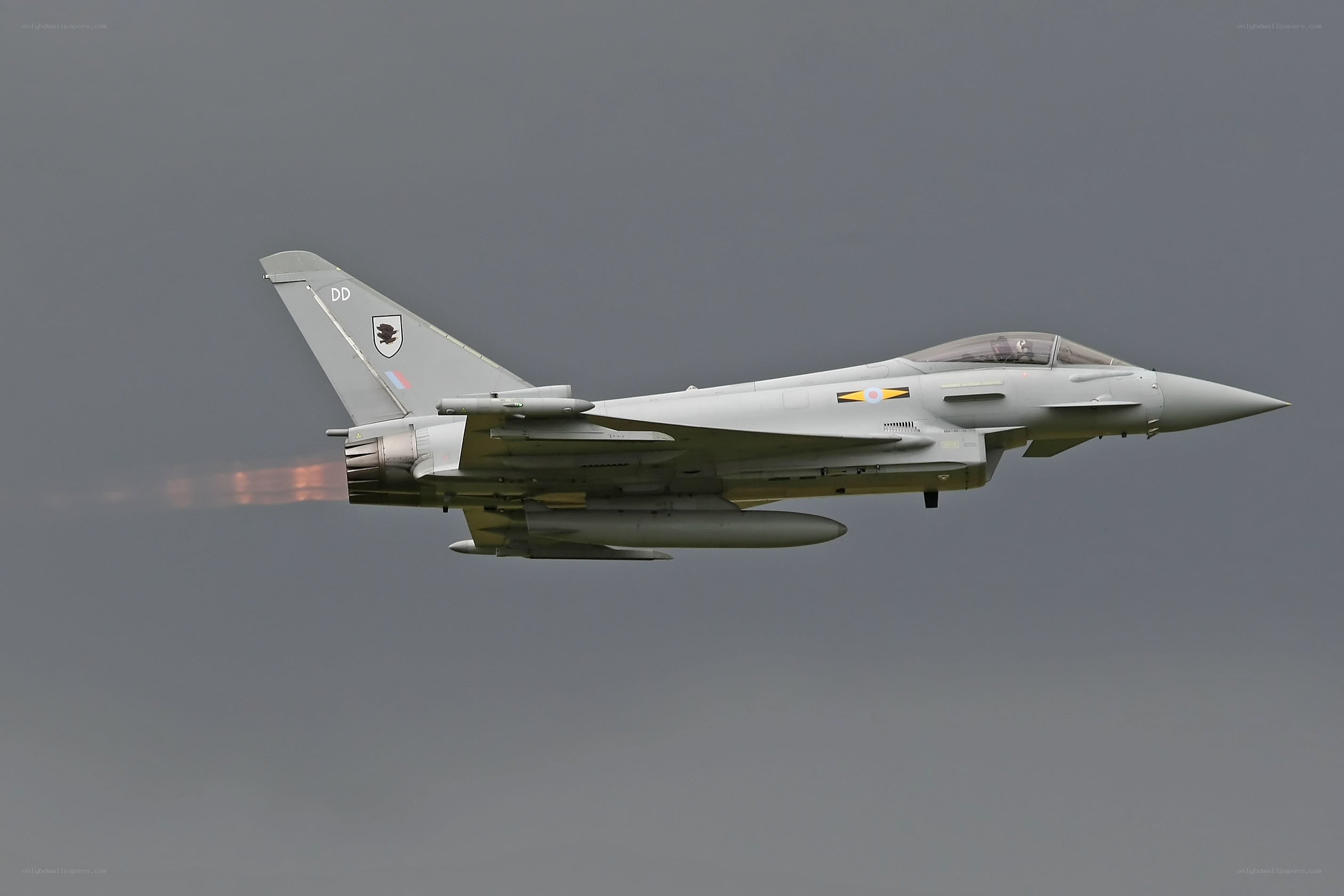 Eurofighter Typhoon in flight