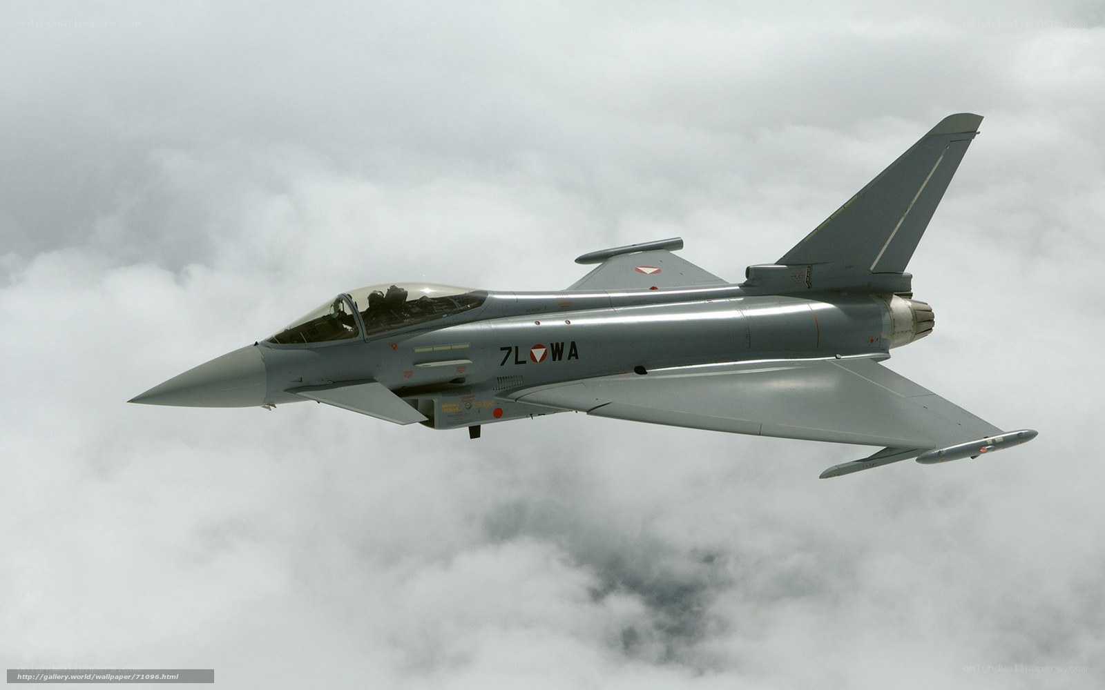 Eurofighter Typhoon in flight