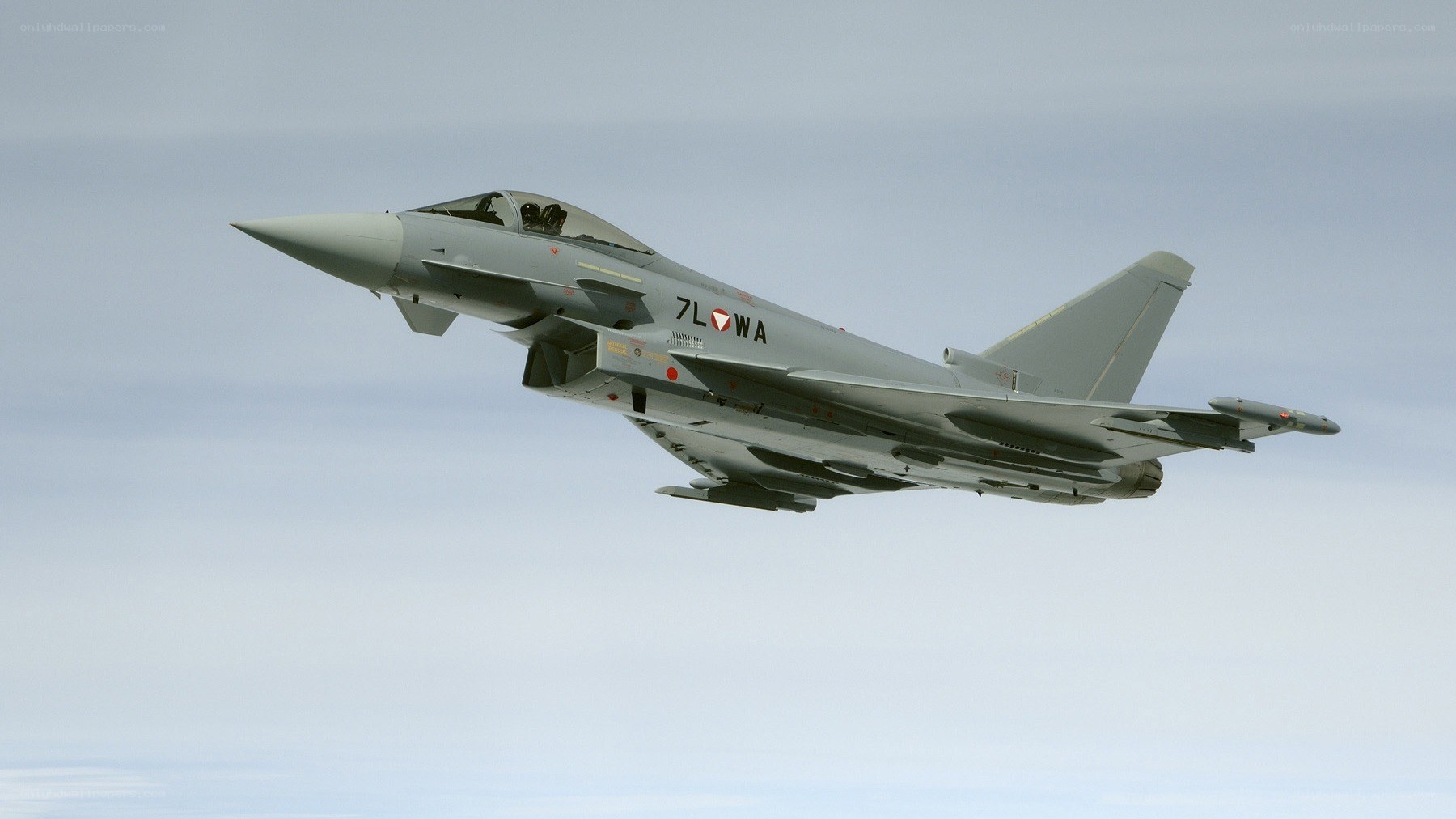 Eurofighter Typhoon in flight