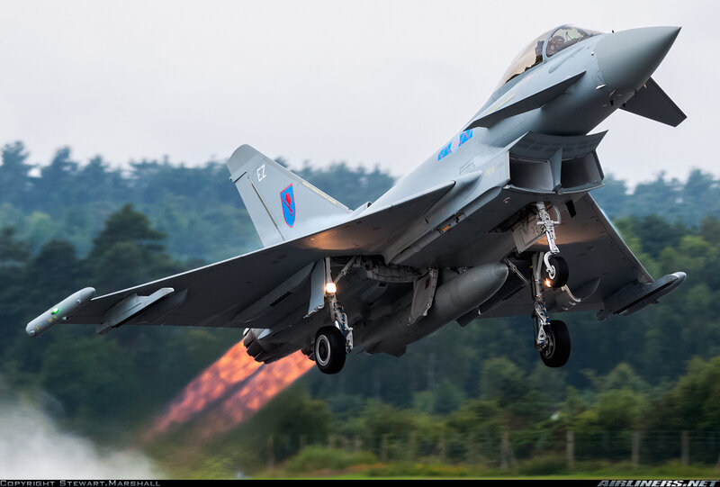 Eurofighter Typhoon Jet — Gray, Dramatic, Afternoon, Photograph, Forest