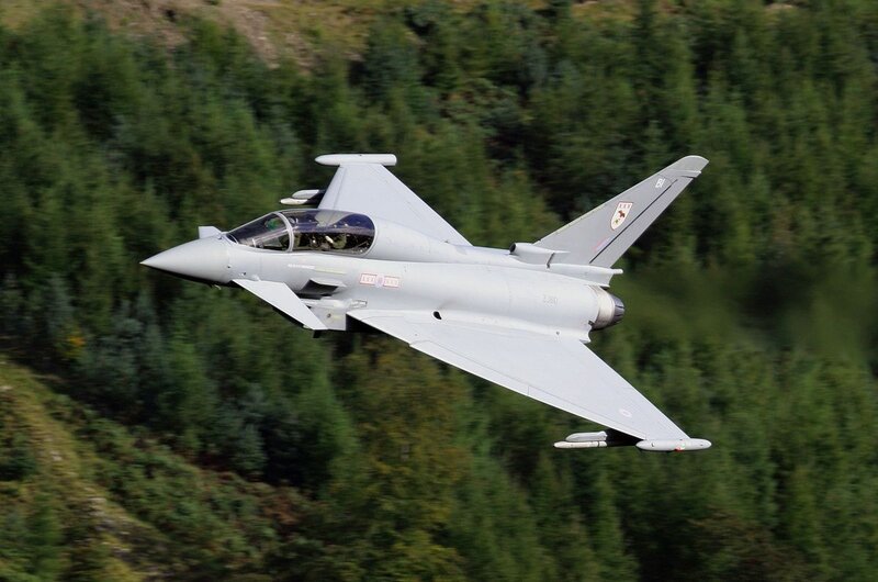 Eurofighter Typhoon Jet — Gray, Dynamic, Afternoon, Photograph, Forest