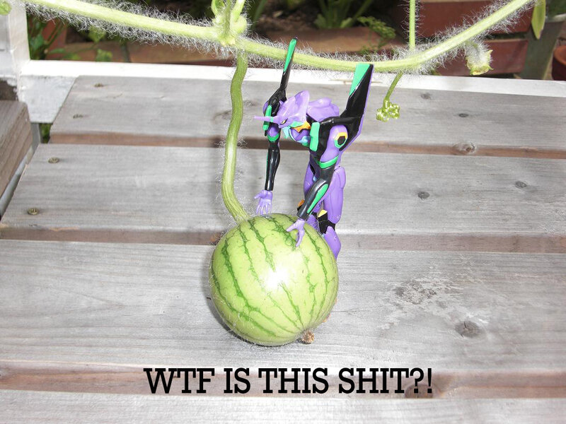 Eva figure with watermelon